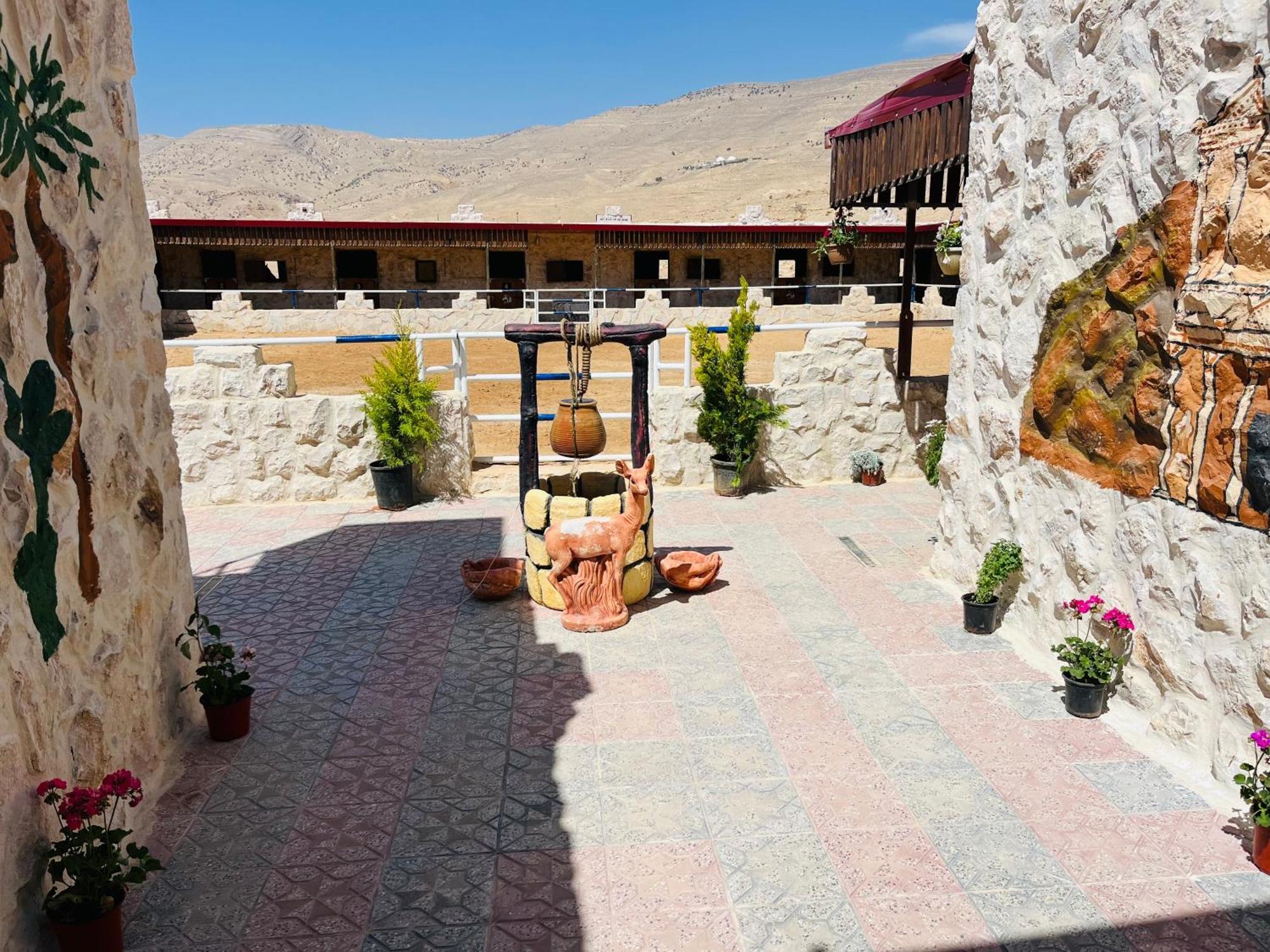 Petra Royal Ranch Bed & Breakfast Wadi Musa Eksteriør bilde